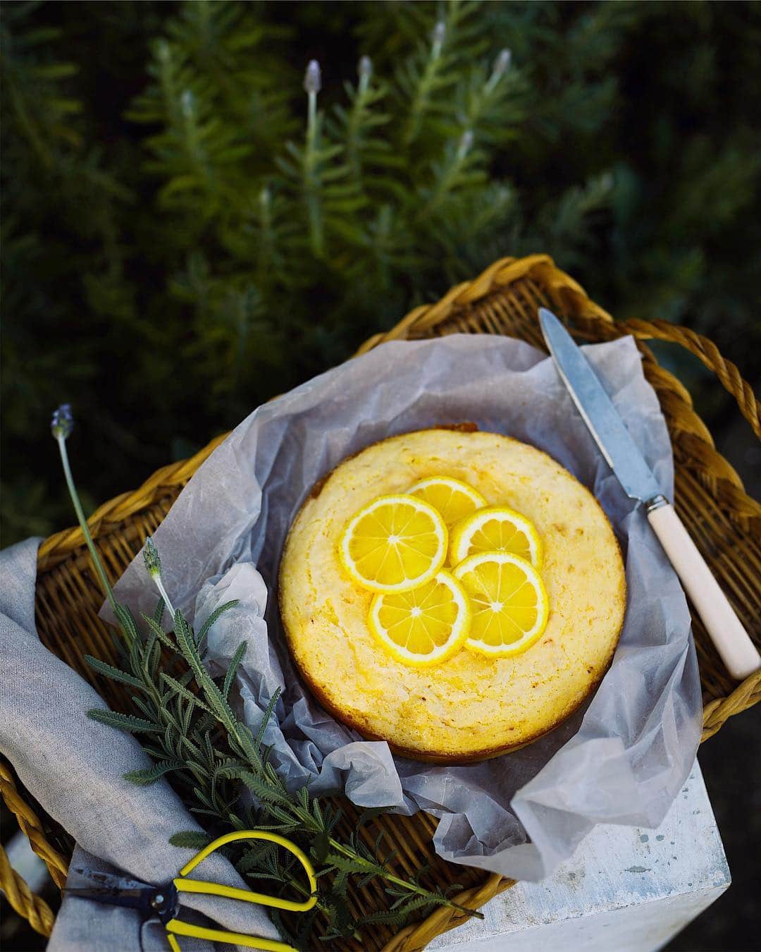増田由希子さんのインスタグラム写真 - (増田由希子Instagram)「I made this delicious lemon pound cake today. Have a lovely Sunday💛 #baking #mygarden #lemoncake #lavender #homemade レモンケーキと庭のラベンダー🌿」4月28日 22時34分 - nonihana_