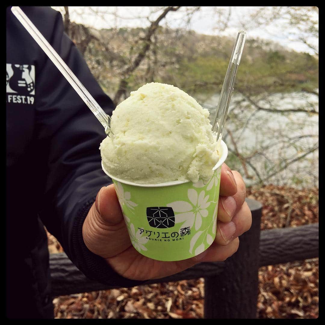 堂島孝平さんのインスタグラム写真 - (堂島孝平Instagram)「糖分欲してるときにバックヤードでいただいた「アグリエの森」のアイス。ありがたかった。美味しかった！ #アグリエの森 #アラバキの思ひ出 #arabaki」4月28日 22時48分 - dojima_kohei