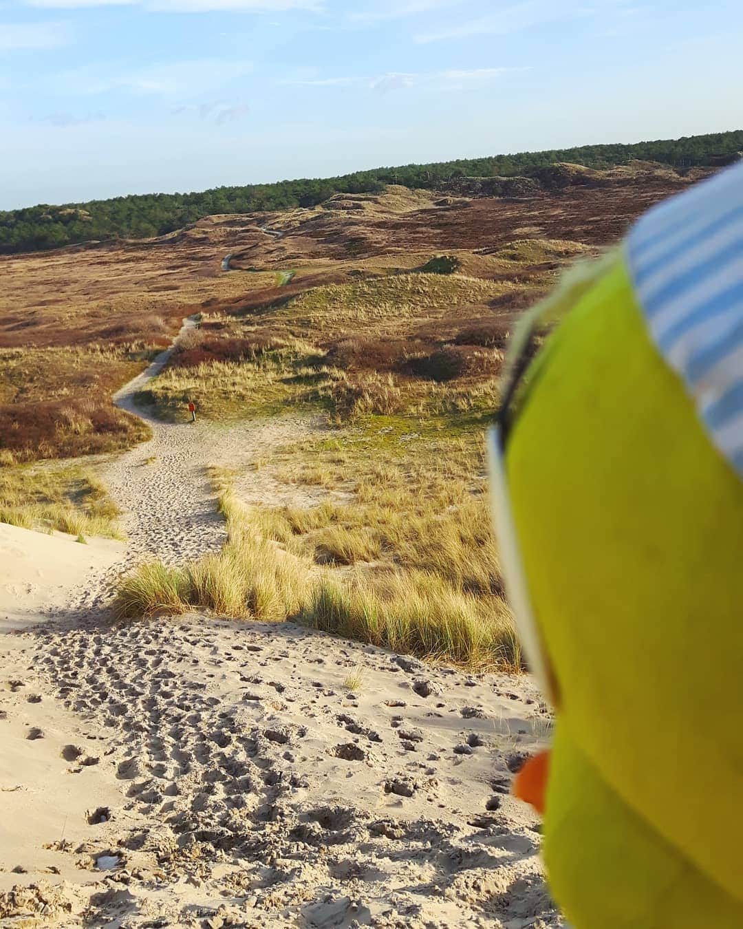 Little Yellow Birdさんのインスタグラム写真 - (Little Yellow BirdInstagram)「Sunday stroll in the dunes. #littleyellowbird #tweety #tweetykweelapis #adventures #yellow #bird #weekend #sunday #stroll #dunes #netherlands #holland #northsea #duinen #sand #bluesky #sunnyweather #sun #walkingitoff #stuffedanimalsofinstagram #plushiesofinstagram」4月28日 22時46分 - tweetykweelapis