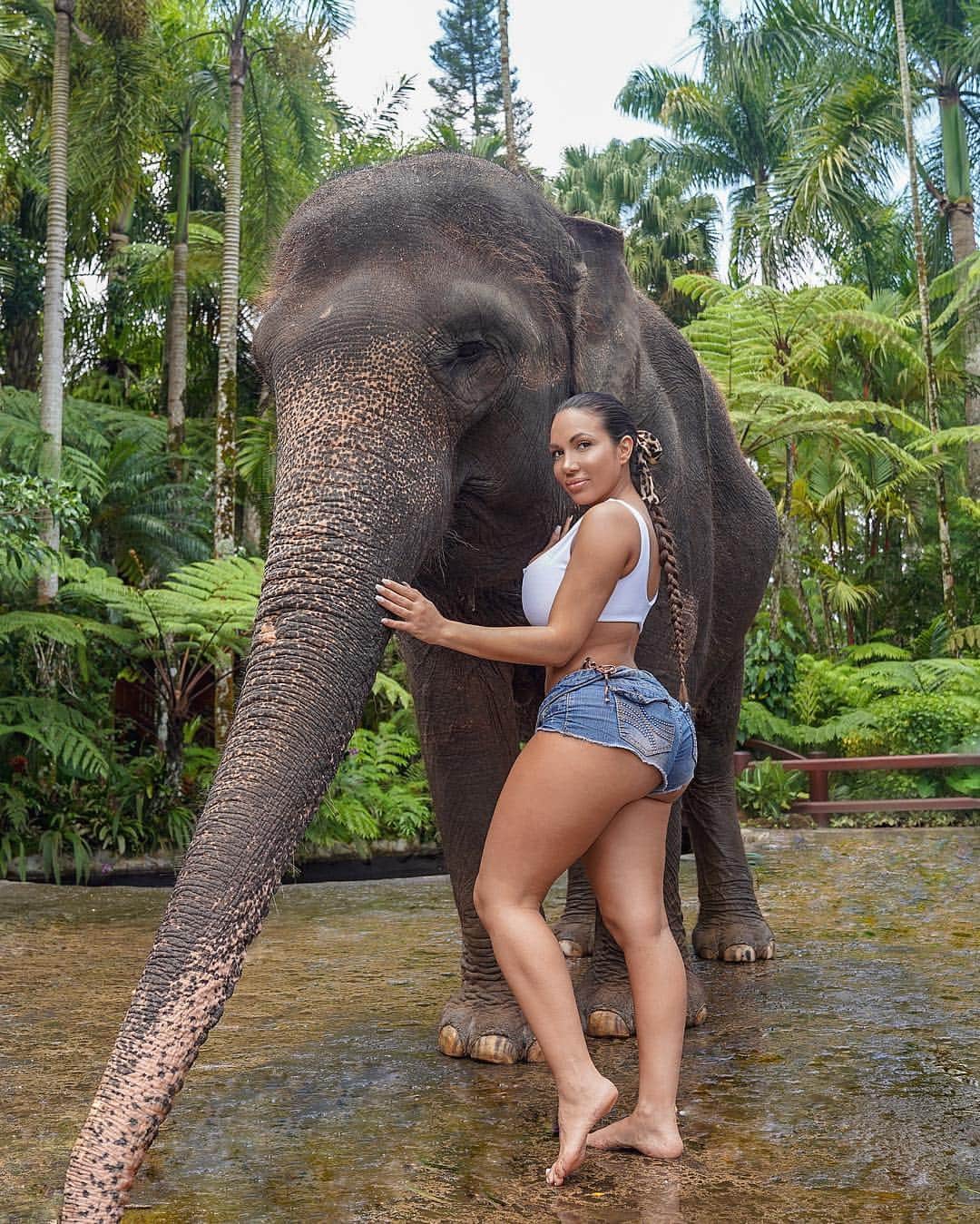 Aylen Aのインスタグラム：「Ever wish a moment could last forever? Time goes quick, but memories last forever. Make them magical! ✨🐘」