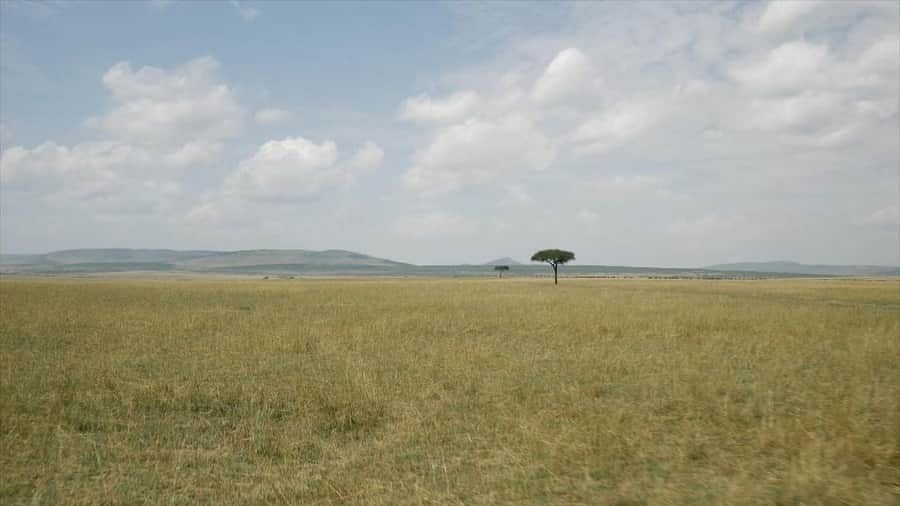 Jackson Harriesさんのインスタグラム写真 - (Jackson HarriesInstagram)「Stills from my new short film “Our Planet - Behind the Scenes” with @wwf_uk and @ourplanet. The people who live and work in the Maasai Mara, one of the world’s last remaining protected grasslands, play a crucial role in protecting some of our planets most magnificent wildlife. The ‘conservancy’ model in Kenya benefits wildlife by protecting valuable ecosystems and crucial migration corridors whilst also supporting the community, through sustainable tourism. Importantly this tourism gives wildlife an inherent value which helps mitigate human/wildlife conflict. Full link to film in bio! @wwf_uk @ourplanet @netflix」4月28日 23時00分 - jackharries