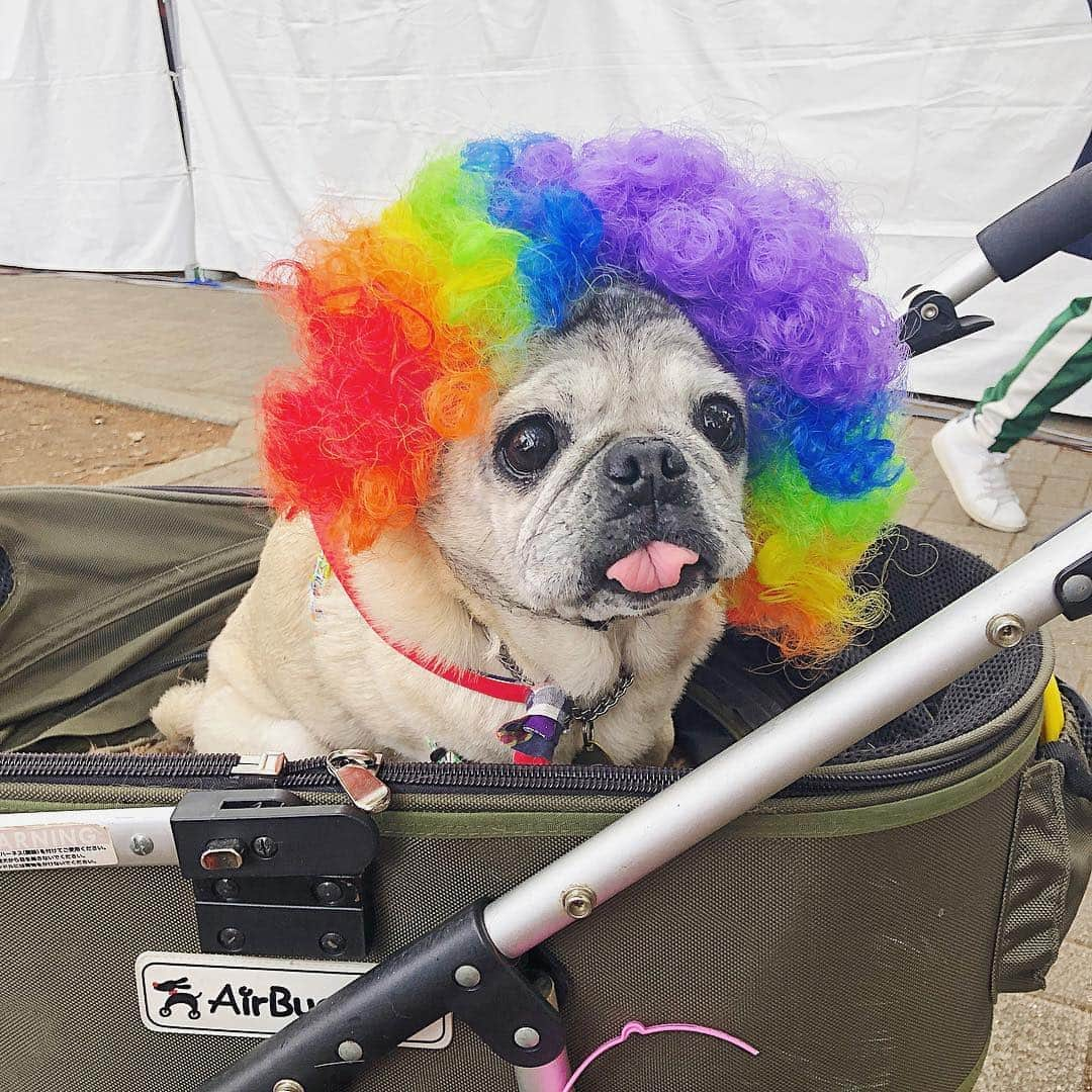 佐々木あさひさんのインスタグラム写真 - (佐々木あさひInstagram)「Tokyo Rainbow Pride 2019🌈🌈🌈 かずえちゃん @kazuechan1101 に誘ってもらって初のパレードに参加😆GoogleMAPもレインボー仕様に🥺このコースをみんなで歩きました。 Googleフロートから流れる音楽は #どこまでいっても渋谷は日本の東京 kemio君の曲以上に渋谷に合う曲は無いと思った。LOVEが溢れる時間💛 #tokyorainbowpride #trp2019 #lgbtq #東京レインボープライド」4月28日 23時01分 - asahisasaki