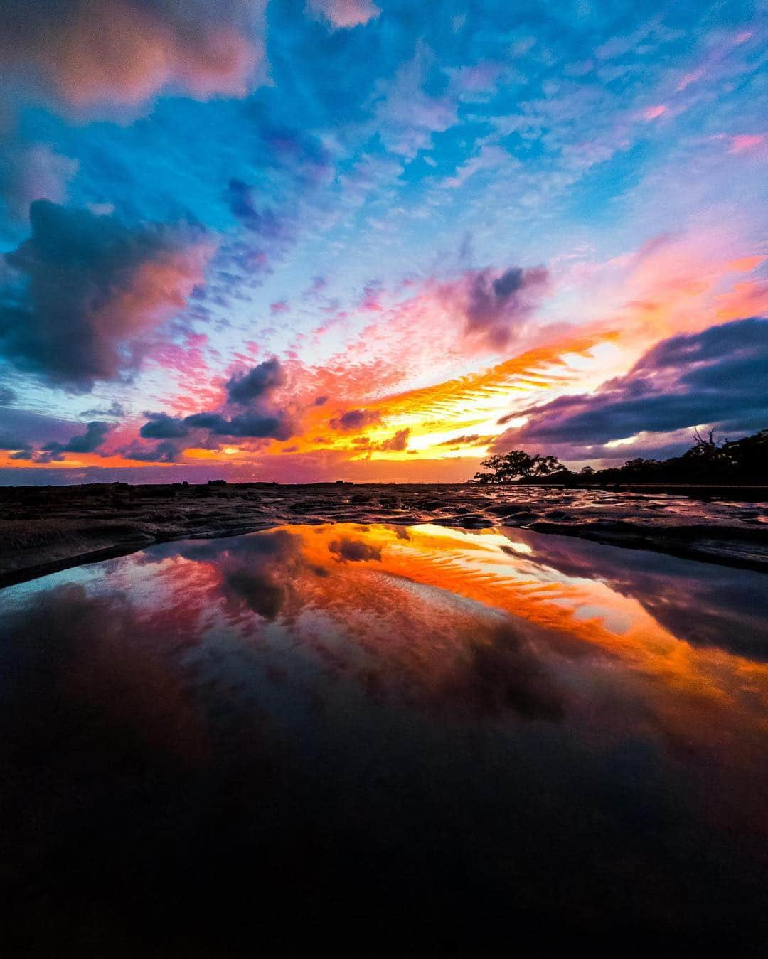 goproさんのインスタグラム写真 - (goproInstagram)「Photo of the Day: Straight magical. ☀️ Take in first light from Brisbane with #GoProFamily member @shipwreckphotography. • • • Shot on #GoProHERO7 Black 📷 @GoProANZ #GoProANZ #GoPro #Sunrise #Aus #ColorsOfNature」4月28日 23時20分 - gopro