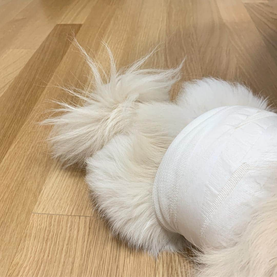 パク・ソラさんのインスタグラム写真 - (パク・ソラInstagram)「아파쪙....🤕 #밍끼여사 🐶」4月28日 23時49分 - sora_pppp