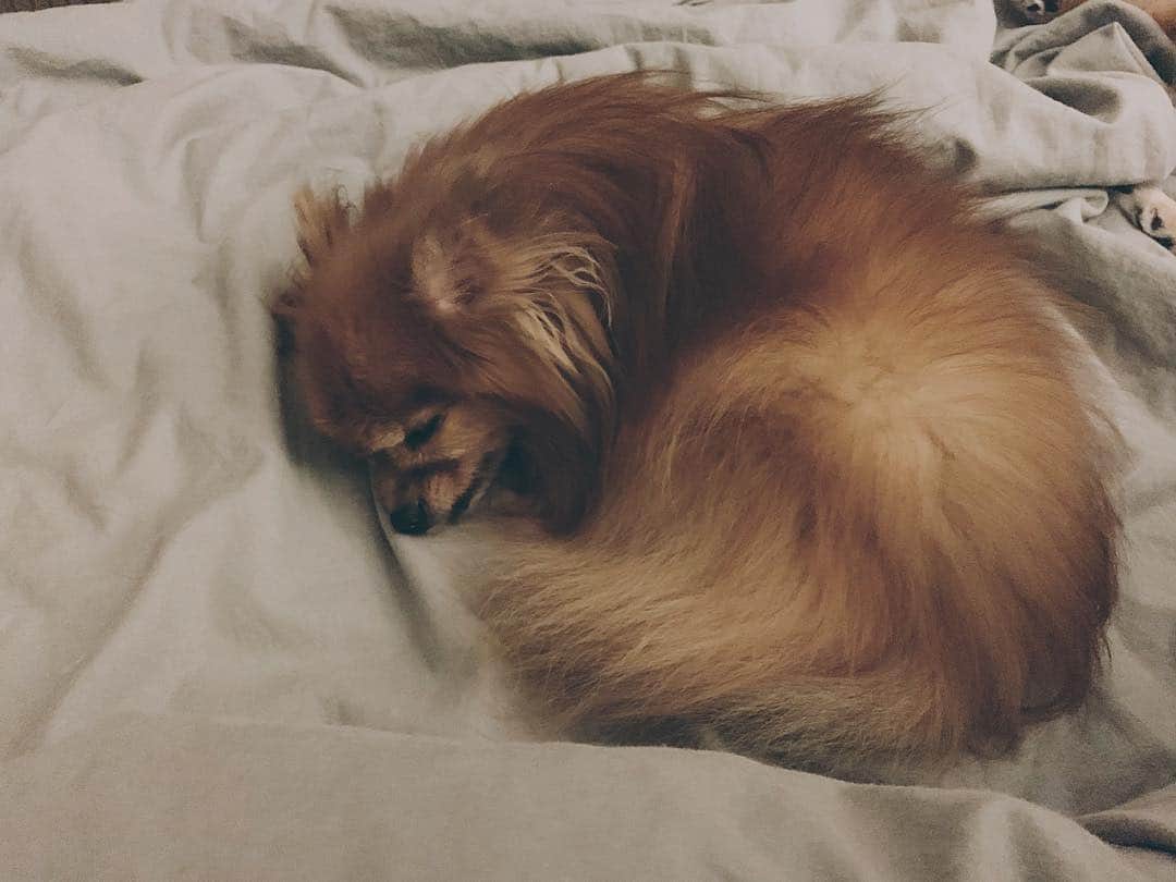 r_oseのインスタグラム：「Gooooooood night🌰〰️」