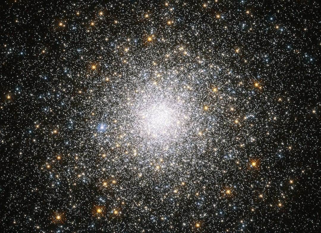 NASAさんのインスタグラム写真 - (NASAInstagram)「Bound together by gravity, this globular cluster of stars glitters like an out-of-this world disco ball to the sound of a cosmic beat. ✨🎶🕺Clusters like this orbit around galaxies and typically reside in their outer and less-crowded areas, gathering to form dense communities in the galactic suburbs.⁣ ⁣ With a luminosity of some 180,000 times the Sun, this sparkling burst can be found gleaming on the outskirts of our own Milky Way galaxy –– picture ready. ⁣ ⁣ Image Credit: ESA/Hubble & NASA, F. Ferraro et al.⁣ ⁣ #NASA #Disco #70s #Stars #Galaxy #Hubble #Space ⁣」4月29日 0時05分 - nasa