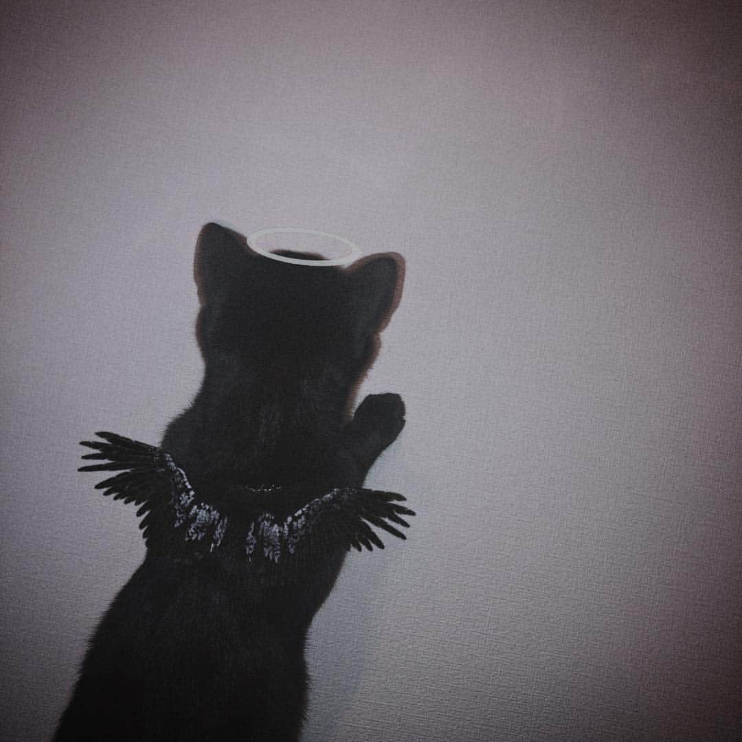 chiiiiiのインスタグラム：「4/29HappyBirthday  my 👼🏻's❤︎ ・ 🕯🥀」