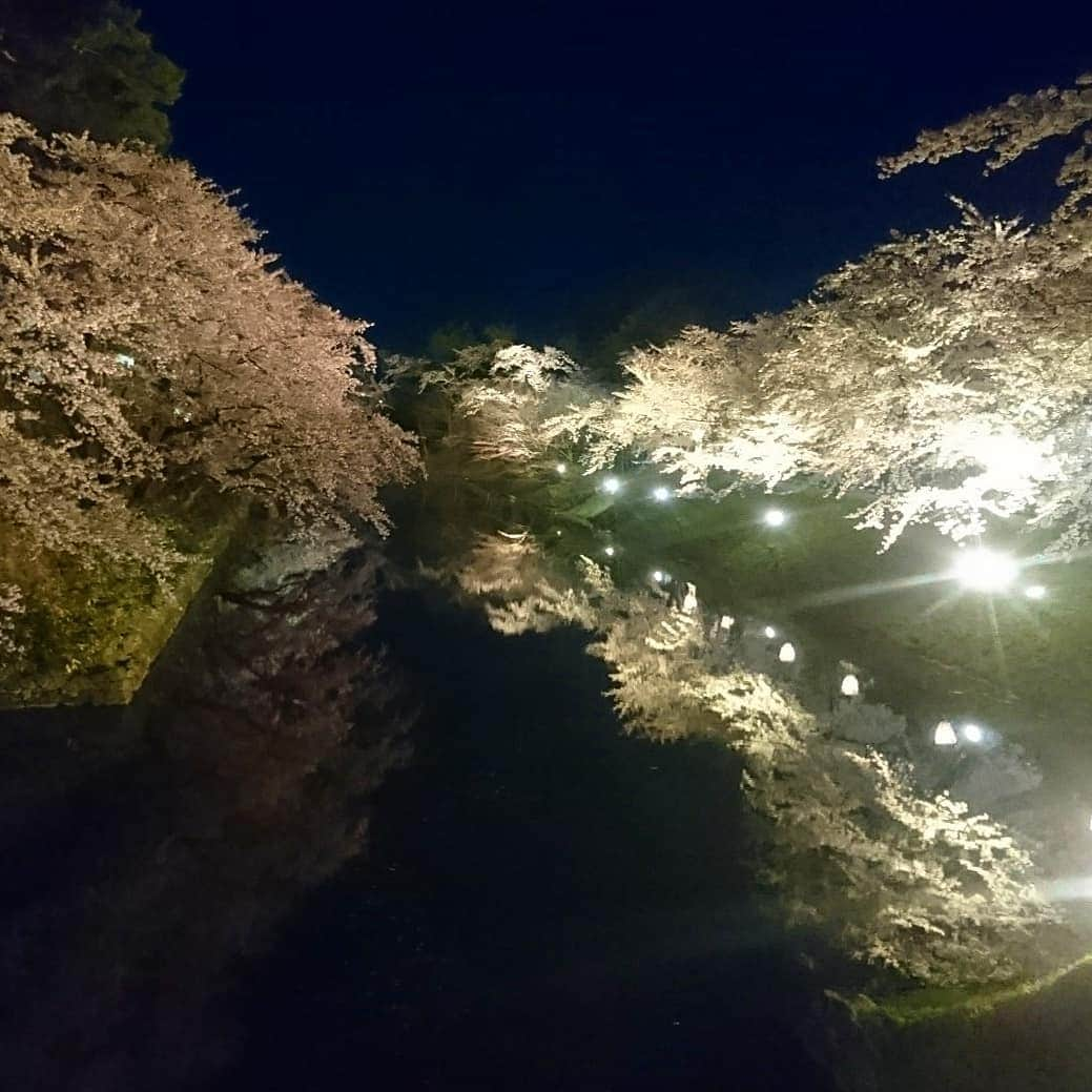 新山大さんのインスタグラム写真 - (新山大Instagram)「101回目の桜のあとは弘前城の桜を観るに限るね🌸🌸🌸 #Hirosaki #cherryblossom #beautiful #RINGOMUSUME #SHIPMENTLIVETOUR2019 #101st #SAKURA #Aomori #無駄にペンライトとタオルを身につけて行ったよ #ついでにダサいサングラスもかけていったよ」4月29日 0時31分 - dai_niiyama