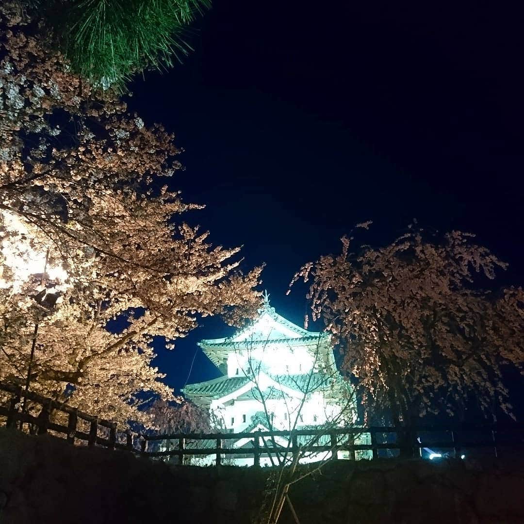 新山大さんのインスタグラム写真 - (新山大Instagram)「101回目の桜のあとは弘前城の桜を観るに限るね🌸🌸🌸 #Hirosaki #cherryblossom #beautiful #RINGOMUSUME #SHIPMENTLIVETOUR2019 #101st #SAKURA #Aomori #無駄にペンライトとタオルを身につけて行ったよ #ついでにダサいサングラスもかけていったよ」4月29日 0時31分 - dai_niiyama