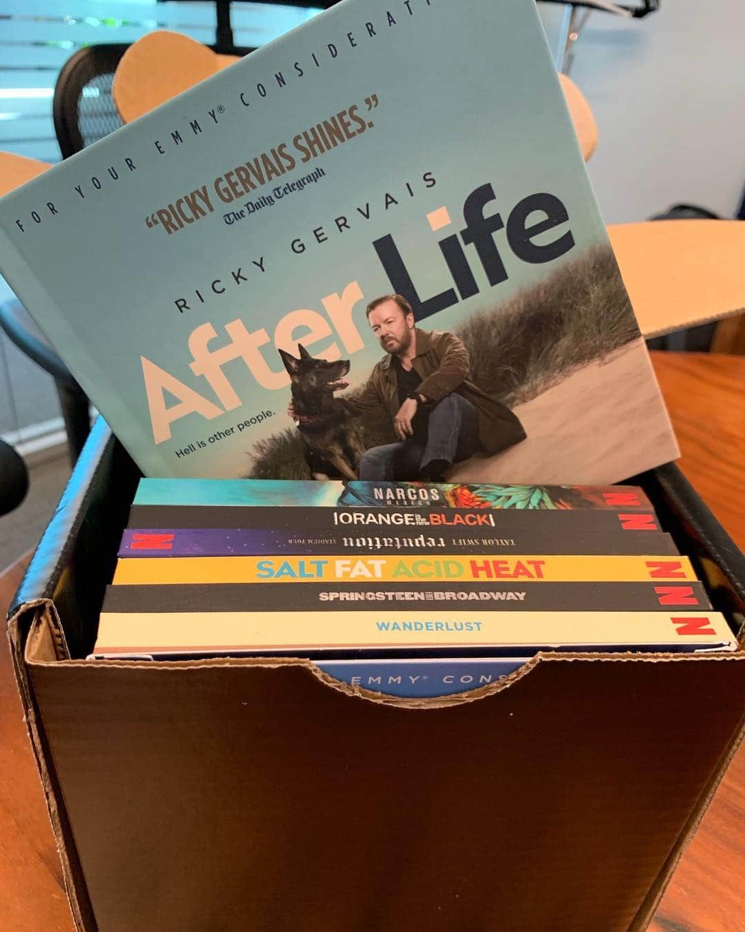 リッキー・ジャーヴェイスさんのインスタグラム写真 - (リッキー・ジャーヴェイスInstagram)「Netflix sent this little bundle out to Emmy members last week. #AfterLife」4月29日 1時33分 - rickygervais