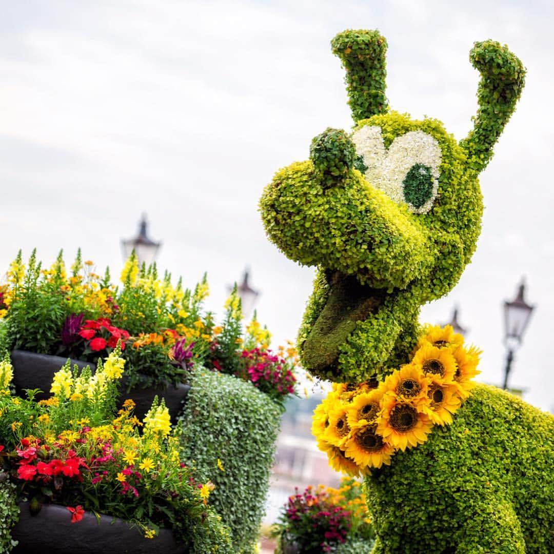 Disneyさんのインスタグラム写真 - (DisneyInstagram)「Big ideas start with a seedling. 🌱 Swipe left to see what's sprouting at The Epcot International Flower & Garden Festival at @waltdisneyworld.」4月29日 2時26分 - disney