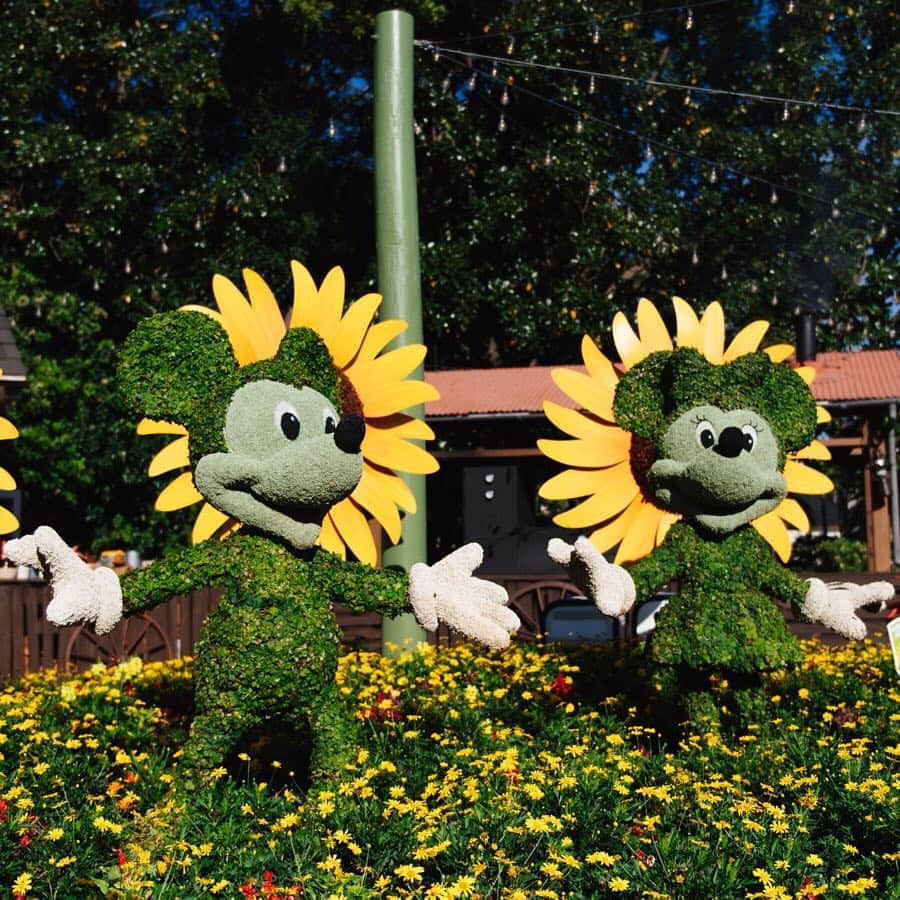 Disneyさんのインスタグラム写真 - (DisneyInstagram)「Big ideas start with a seedling. 🌱 Swipe left to see what's sprouting at The Epcot International Flower & Garden Festival at @waltdisneyworld.」4月29日 2時26分 - disney