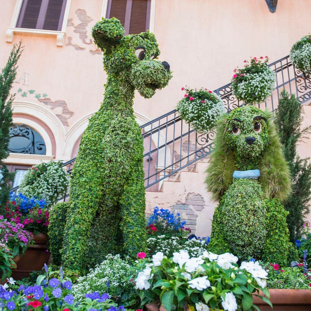 Disneyさんのインスタグラム写真 - (DisneyInstagram)「Big ideas start with a seedling. 🌱 Swipe left to see what's sprouting at The Epcot International Flower & Garden Festival at @waltdisneyworld.」4月29日 2時26分 - disney