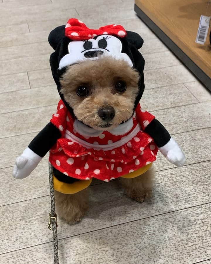 ❤︎Till❤︎のグルメインスタ