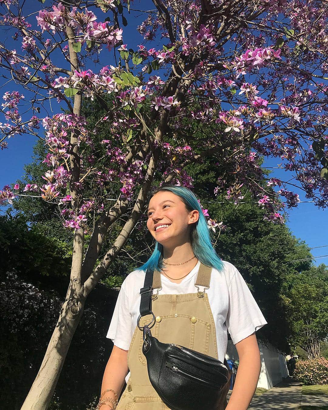 G・ハネリウスさんのインスタグラム写真 - (G・ハネリウスInstagram)「zu: “ur hair matches the sky i have to take a picture”」4月29日 3時34分 - ghannelius