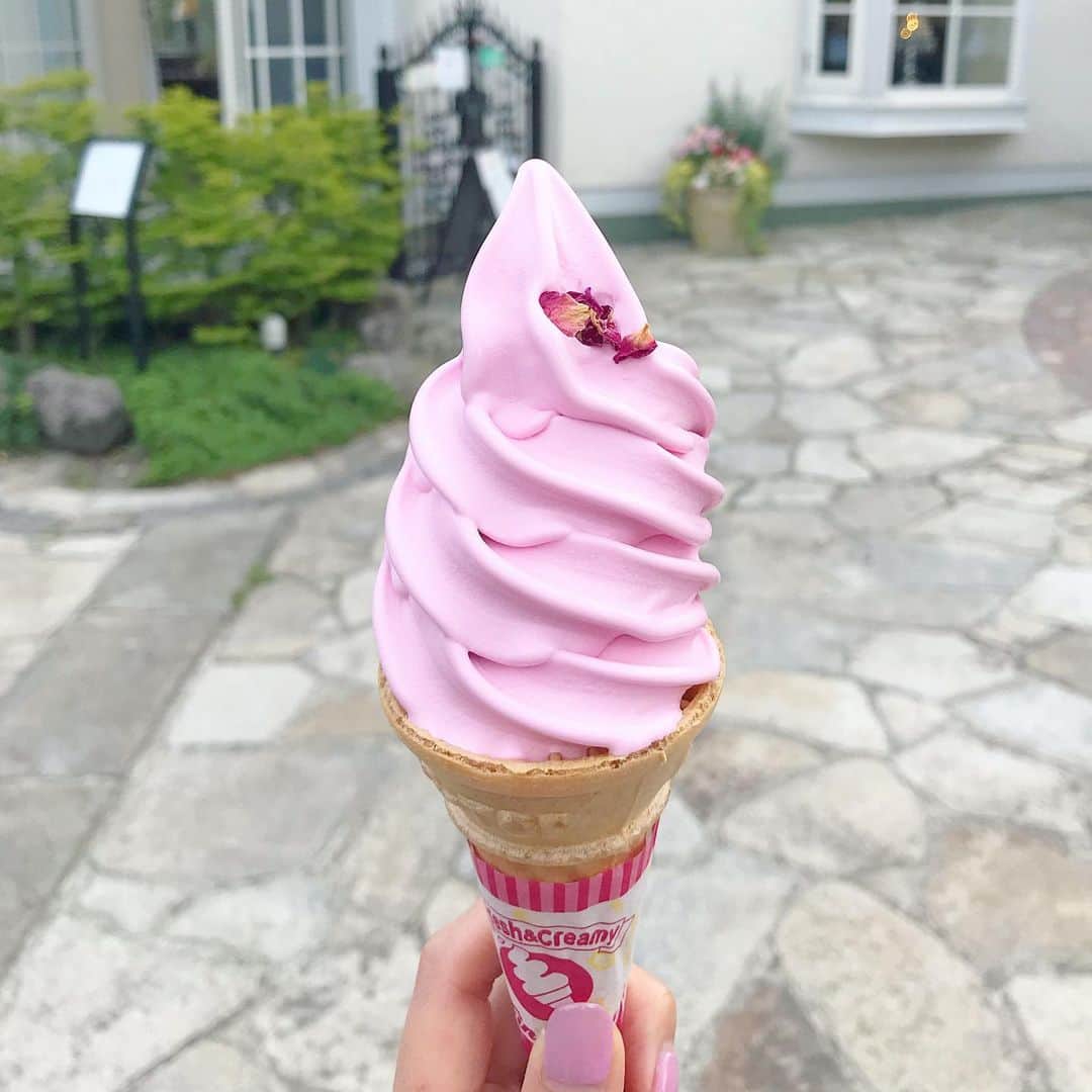 のインスタグラム：「* バラソフト🌹🍦 濃厚なミルクソフトにバラが一瞬フワっと香る感じ🍦 バラも豚バラも大好物🤤🙏 ばらちらしもいい」