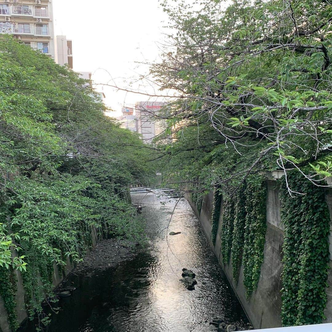 一三さんのインスタグラム写真 - (一三Instagram)「4日連続の真夏日の東京。  涼を求め，水辺へと。  この景色に心洗われますね。。。 追伸 ウンコ踏みました…  #真夏日 #summer #暑い #hot #涼 #神田川 #river #自然 #nature #心洗われる #ウンコ #うんこ」5月27日 23時28分 - ichizou.co.jp