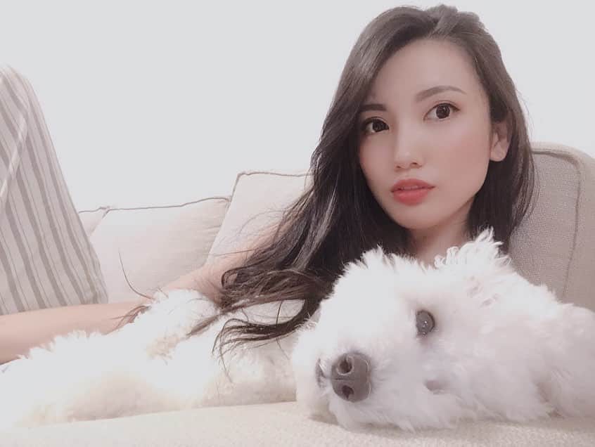 吉田愛璃のインスタグラム：「. . いつもこの定置♩¨̮⑅*♡ . そして毎回この顔面パンチ👊⁾⁾ 笑 . . #トイプードル #男の子 #いぬすたぐらむ #いぬのいる暮らし #chill #日常 #絶対人間だと思ってる #生意気 #必ず仰向けで寝る犬 #トリミング行ったら猿になって帰ってきた犬 #全てが癒し #🐾」