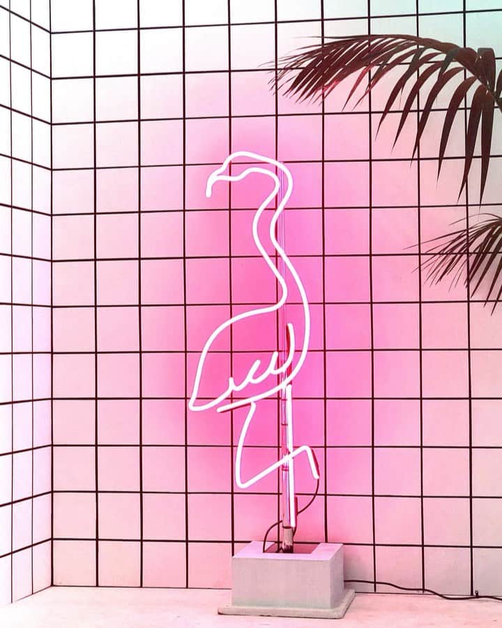 スカーゲンのインスタグラム