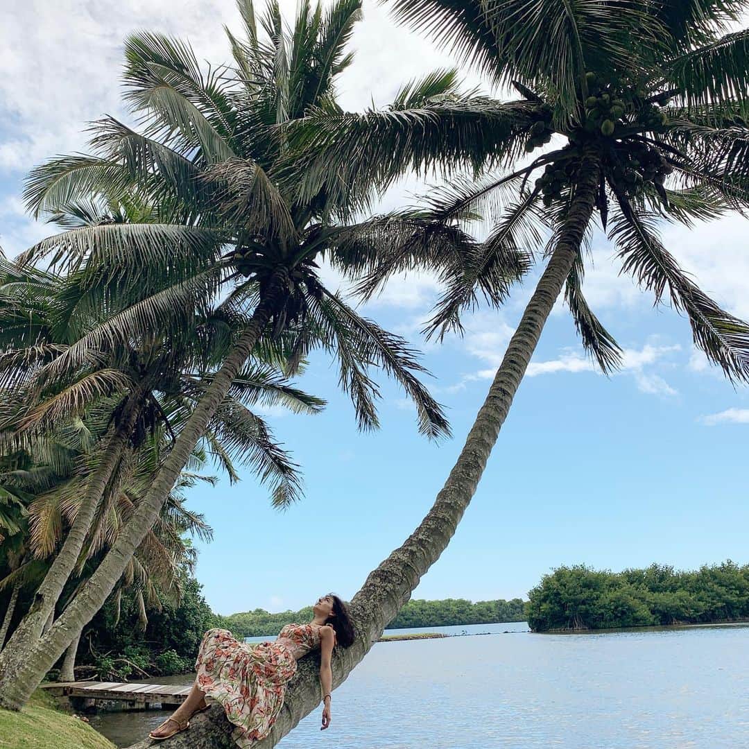 カミーラ・ベルさんのインスタグラム写真 - (カミーラ・ベルInstagram)「Siesta time 🌴 #aloha #camillastravels #oahu #ferias #vacationmode」5月28日 1時43分 - camillabelle