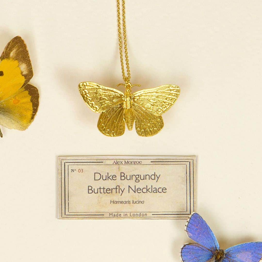アレックスモンローさんのインスタグラム写真 - (アレックスモンローInstagram)「Hooray for the Duke of Burgundy butterfly🦋on its way back from the brink of extinction as reported by @guardian 🗞 . #alexmonroe #dukeofburgundy #butterfly #nature #savethebutterflies #ourplanet #handmade #gold」5月28日 1時53分 - alexmonroejewellery