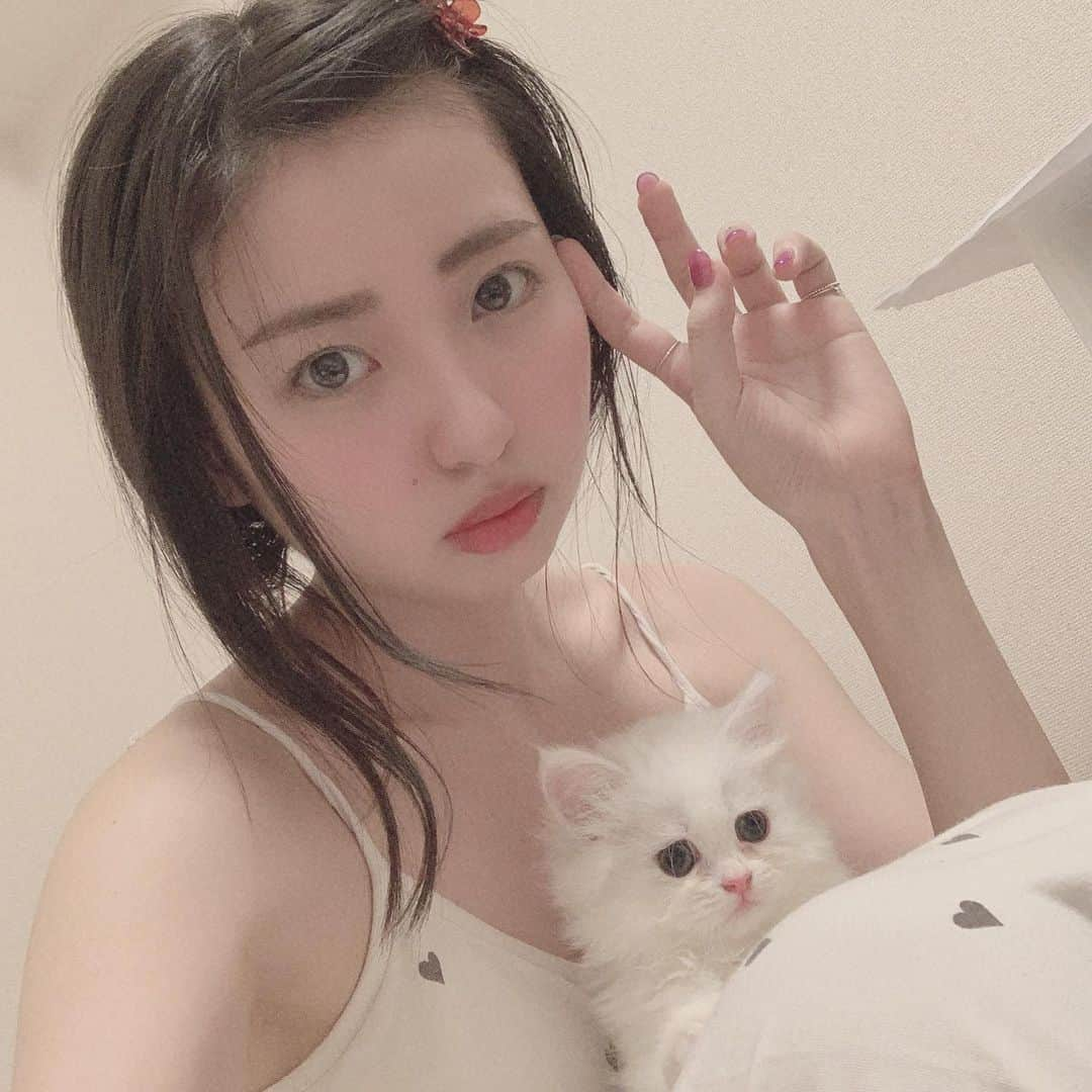 萩原うららさんのインスタグラム写真 - (萩原うららInstagram)「もう仲良しだよ🐱🌸 ⠀  最近バタバタしててコスメ紹介しっかりできなくてごめんね😢実は！明日から私にとっての新しいチャレンジが始まります、、🙆‍♀️きっとみんなにもっといろんな情報を届けられるはず。 ⠀ 準備してたらこんな時間！明日も早いから寝ます〜〜。おやすみ🌕 ⠀」5月28日 2時06分 - urarachan_918