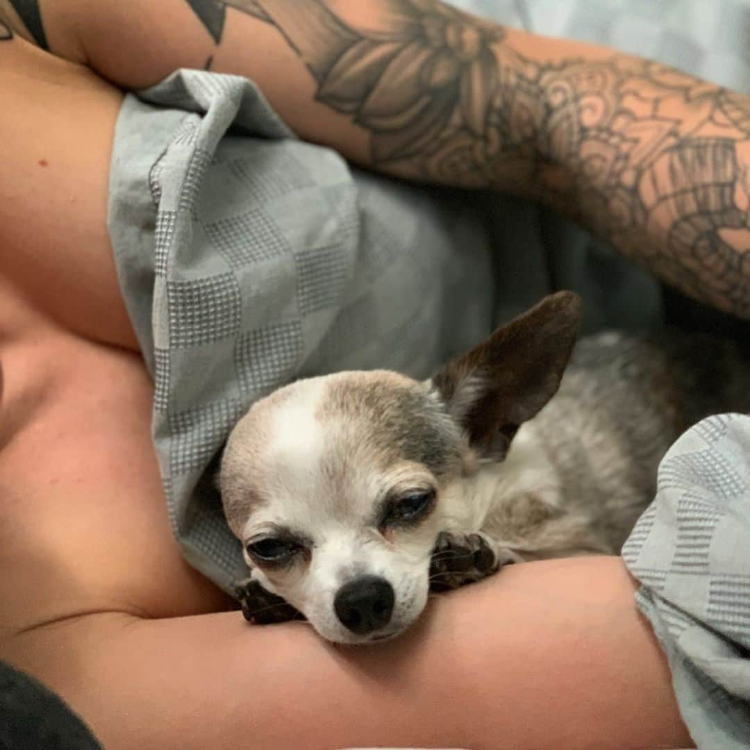 アレックス・ジョンソンさんのインスタグラム写真 - (アレックス・ジョンソンInstagram)「FRITZ IS TEN TODAY!!!!! I can’t believe it’s been a decade of loving this creature. I don’t know how a teacup chihuahua ended up as my adventure companion of choice, but she’s been so tolerant of my shenanigans and I’m so glad she isn’t afraid of heights. We’ve done some cool things together. Happy birthday to my baby girl!! 🐶🎂🎈🎉 #birthdaysnuggles」5月28日 3時27分 - alexjohnson89