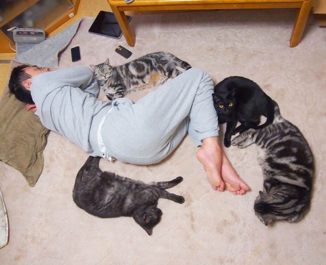 nemuru_catさんのインスタグラム写真 - (nemuru_catInstagram)「#ルパン#次元#春ちゃん#ベム#眠る夫  春ちゃんの代わりに ベムつんがいっしょに 寝るようになるかと思ったんだけど なんか全然いっしょに寝てくれないんだよね～😅 おやすみにゃさ〜い💤💤 * #ねこ部#cat#cats#neko#猫#catsofinstagram#bestmeow#catlover#instagramjapan#ふわもこ部#アメリカンショートヘア#americanshorthair#黒猫」5月28日 3時29分 - nemuru_cat