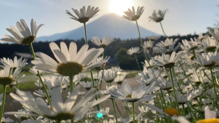 phantastic420のインスタグラム：「. 🤩🤩“Shizuoka” prefecture in Japan is a place where you can see the most “phantastic” Mt. Fuji🗻 in the world.🤩 #富士山 #mtfuji #japan #shizuoka #fujinomiya  #phantastic420photography #mostphantasticmtfuji #selamatpagi  #goodmorning  #おはようございます 😇😇😇😇😇😇😇🗻😇😇」