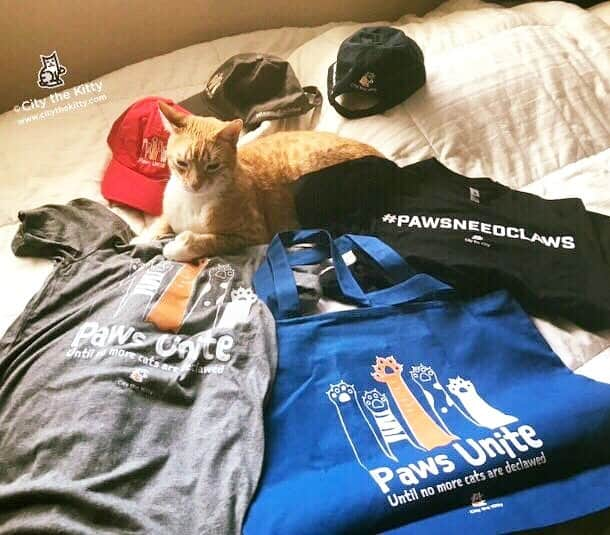 City the Kittyさんのインスタグラム写真 - (City the KittyInstagram)「I’m having a Memorial Day sale, so grab one of my totes, t-shirts, and hats and help us spread the word about our cause to end declawing! 😽❤️ All the proceeds go to our nonprofit’s work to help end this inhumane and cruel amputation procedure.❤️ citythekitty.org #memorialdaysale #catswag #catbook #cattshirt #stopdeclawing #pawsneedclaws」5月28日 5時32分 - citythekitty