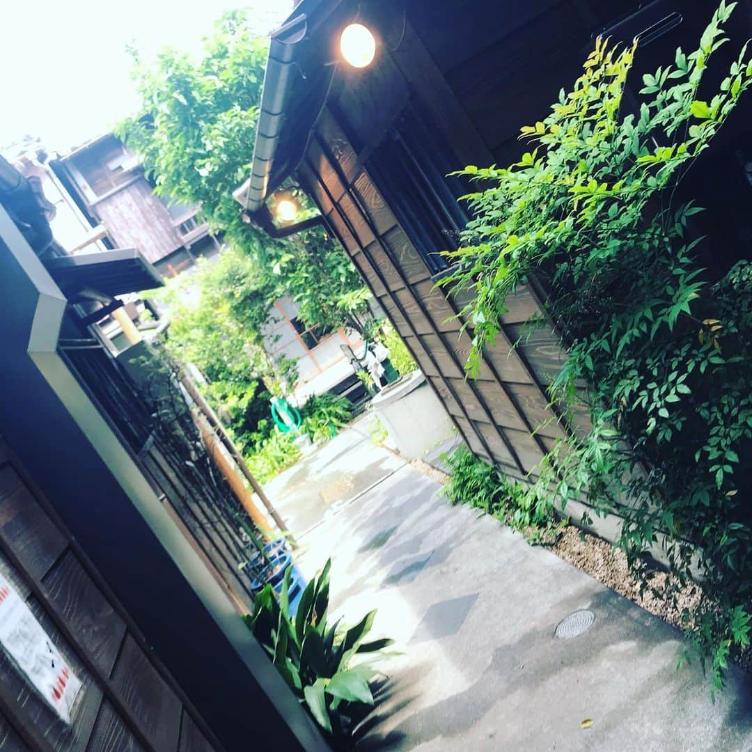 石井元気さんのインスタグラム写真 - (石井元気Instagram)「もっとセレクションのロケの模様をどうぞ！！！ 古民家を改装したお店が並んでいて落ち着ける雰囲気です！  午前中からビール飲んじゃいました。笑笑  #もっとセレクション #上野桜木あたり #谷中ビアホール #おしおりーぶ #VANER #ビタスイ #田崎あさひ #あきげん #石井元気」5月28日 5時37分 - genkiishii1226