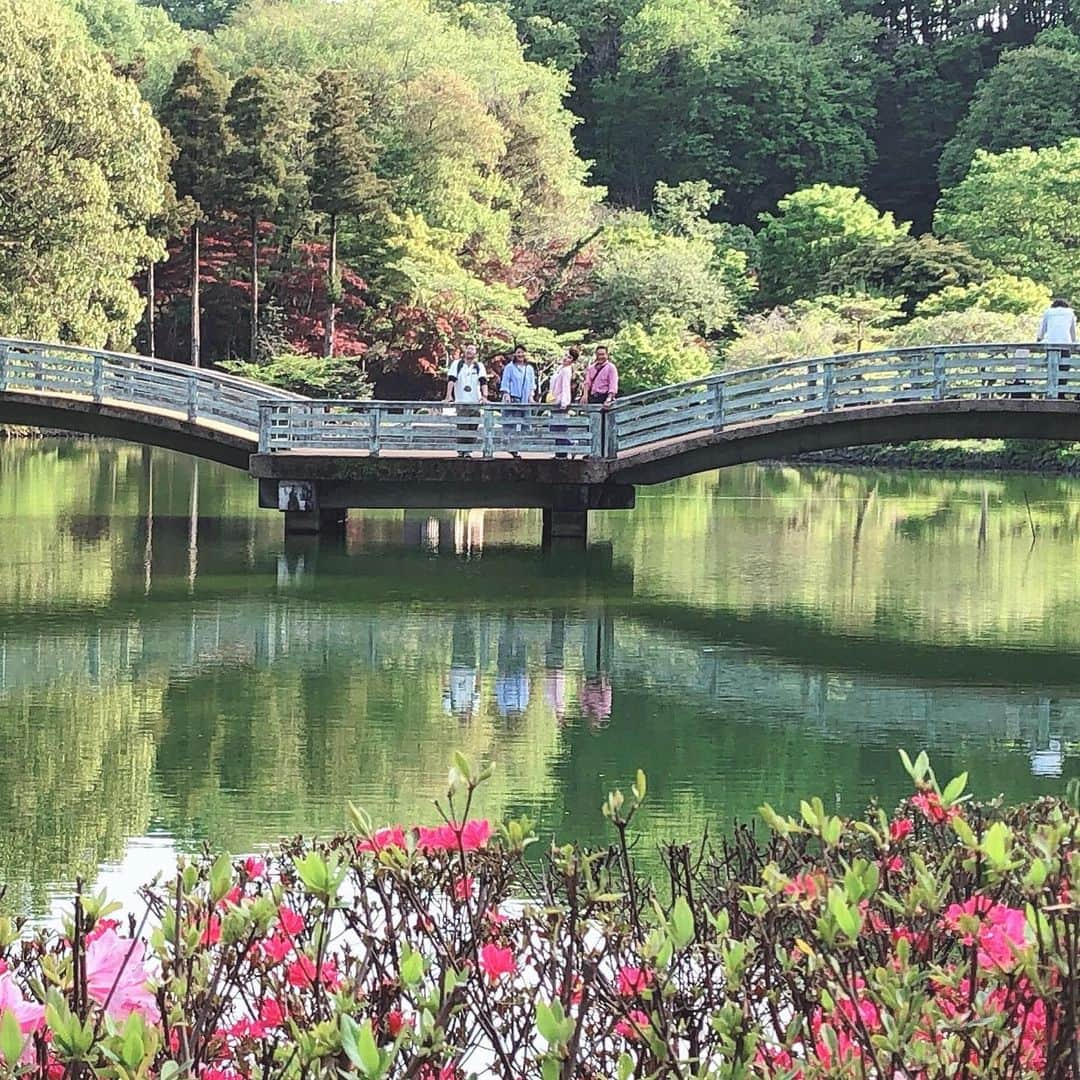 平野ノラさんのインスタグラム写真 - (平野ノラInstagram)「おったまげ牡丹。  #6月12日 #12時〜 #町田 #なりゆき街道旅  #バトミントン  #負けられない戦いがここにある #平野ノラ #okバブリー」5月24日 10時04分 - noranoranora1988