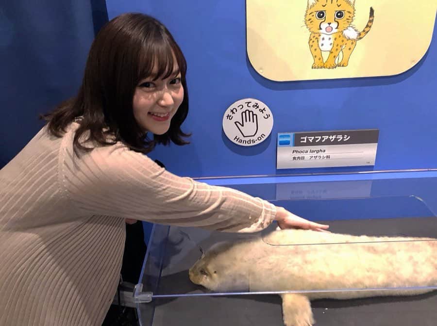 吉田悠希さんのインスタグラム写真 - (吉田悠希Instagram)「❤︎ 【5/23(木) #夕暮れwonder4 】 本日の中継は、上野の#国立科学博物館 で開催中の#大哺乳類展2 からお届けしました！  もぐらとねずみの研究をしている#モグラ博士 こと川田伸一郎さんにもご出演いただき、哺乳動物たちの面白エピソードを楽しみつつ、とってもお勉強になりました☺️この展示では、ゴマフアザラシの剥製が見るだけでなく触ることもできちゃいます！ふわふわでした〜❤︎ 皆さんも触ってきてください！  先生が監修した絵本#もぐらはすごい もぜひ💭 #ふわふわしてるーって顔  #特にお腹の横の部分 #街角ステーション噂を求めてどこまでも #吉田悠希 #ニッポン放送」5月24日 10時23分 - yuki__yoshida__914