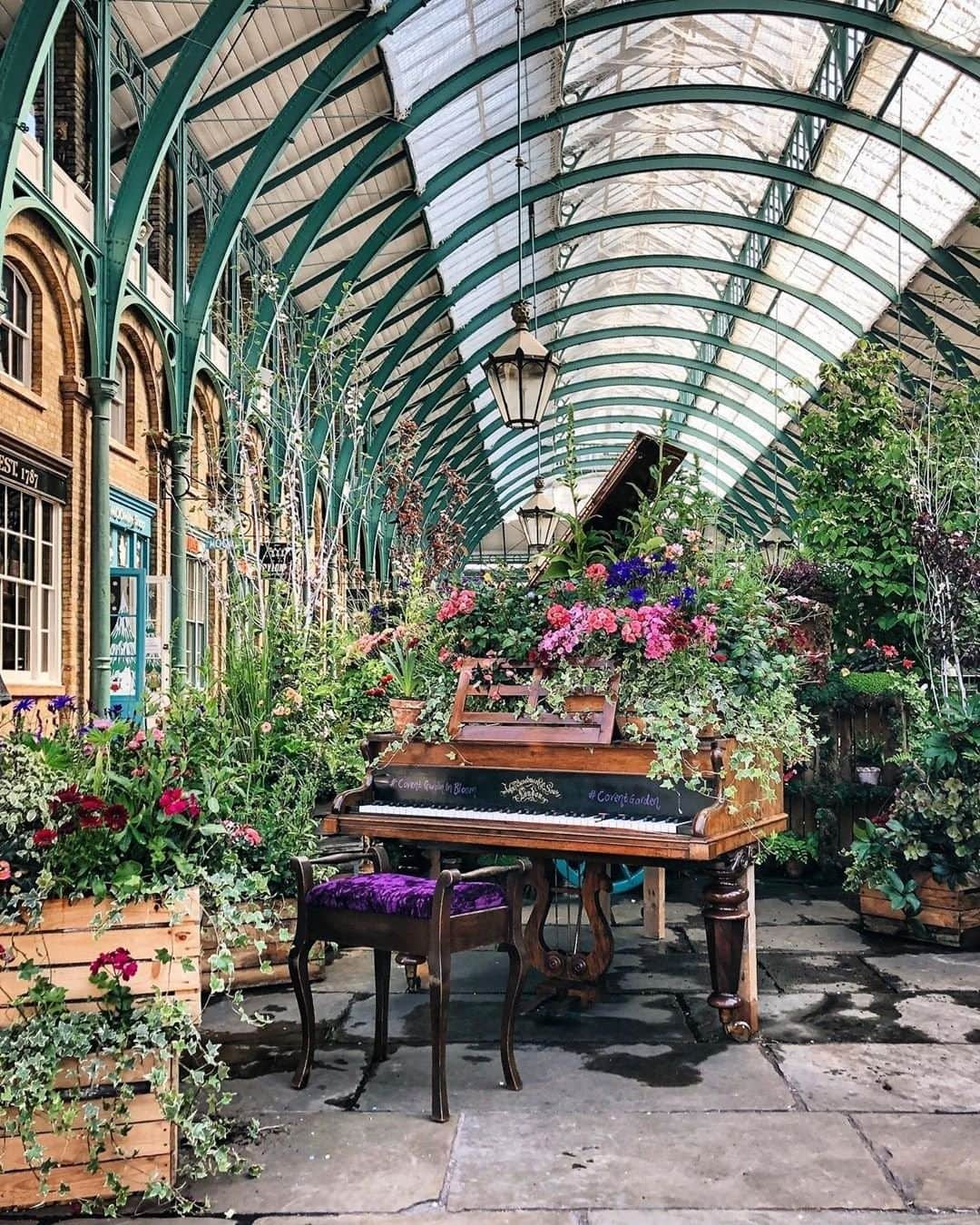 Travel + Leisureさんのインスタグラム写真 - (Travel + LeisureInstagram)「Covent Garden in Bloom 🌺Get our list of the most essential stores to visit in Covent Garden at the link in bio! #tlpicks courtesy of @siobhaise」5月24日 2時59分 - travelandleisure