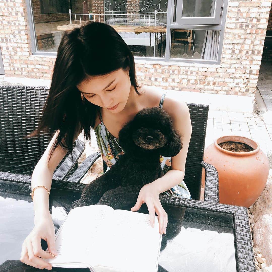 スイ・ヒーのインスタグラム：「He is reading 📖 🐶」