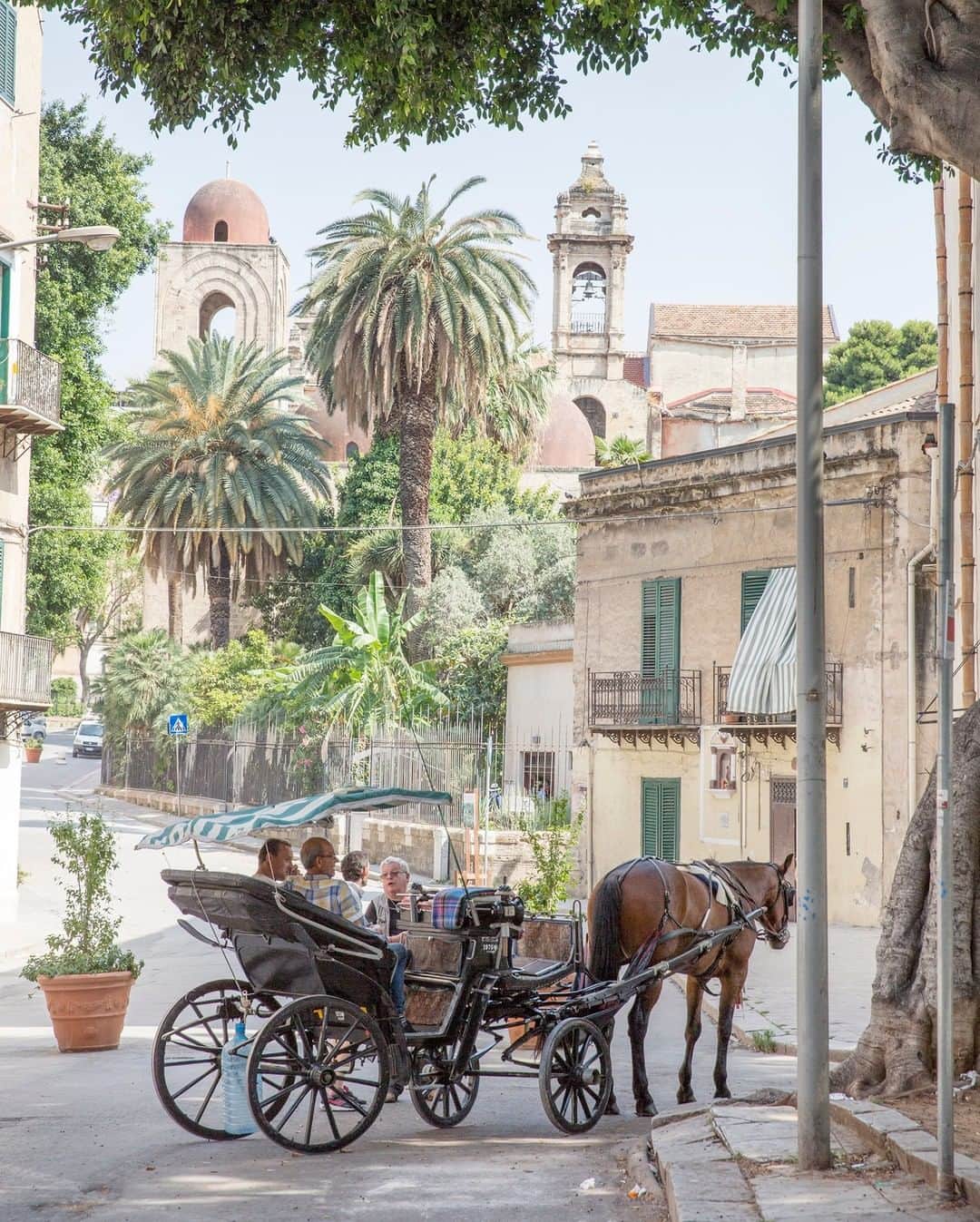 National Geographic Travelさんのインスタグラム写真 - (National Geographic TravelInstagram)「Photo by @andrea_frazzetta | A horse-drawn carriage in the streets of the Palazzo Reale district (also known as Albergheria), the historic center of Palermo, Italy. The Romans, Arabs, and Normans all left their mark on the picturesque Sicilian capital, where boisterous back streets and open-air markets collide to create a joyous sense of anarchy. To see more photos from my travels, follow me @andrea_frazzetta #palermo #sicily #italy」5月24日 4時00分 - natgeotravel