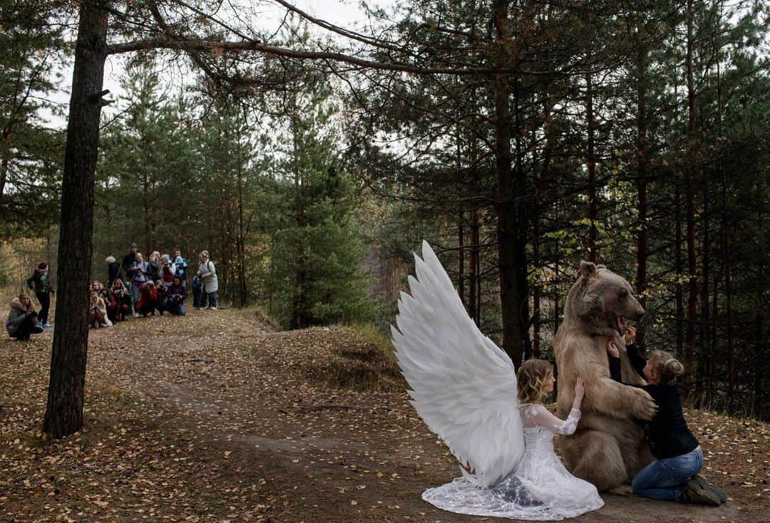 ナショナルジオグラフィックさんのインスタグラム写真 - (ナショナルジオグラフィックInstagram)「Photos by Kirsten Luce @kirstenluce | Fantastical portraits with captive wild animals—including bears and wolves—are a big trend in Russia at the moment. Most of the photographers rent the same bear, named Stepan, for the shoots and advertise through Instagram. These models were posing as part of a workshop for aspiring photographers to get their own shots of the bear for their personal Instagrams. Individuals can also hire these photographers to shoot them with the animal of their choice, like the last photo of an 18-year-old girl from Moscow who dreamed of having her photo taken with wolves.  For the June 2019 issue of National Geographic, writer @natashaldaly and I traveled the world to learn about captive wildlife tourism. Our intention is not to shame tourists or photographers who have had these encounters but to arm our readers with information that will help them identify potentially exploitative situations for animals.」5月24日 4時20分 - natgeo