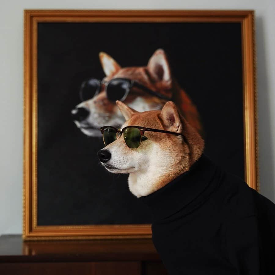 Menswear Dogさんのインスタグラム写真 - (Menswear DogInstagram)「Spot the Real Mensweardog 👀  Custom oil painting & ego strokes by @depicteur」5月24日 4時28分 - mensweardog