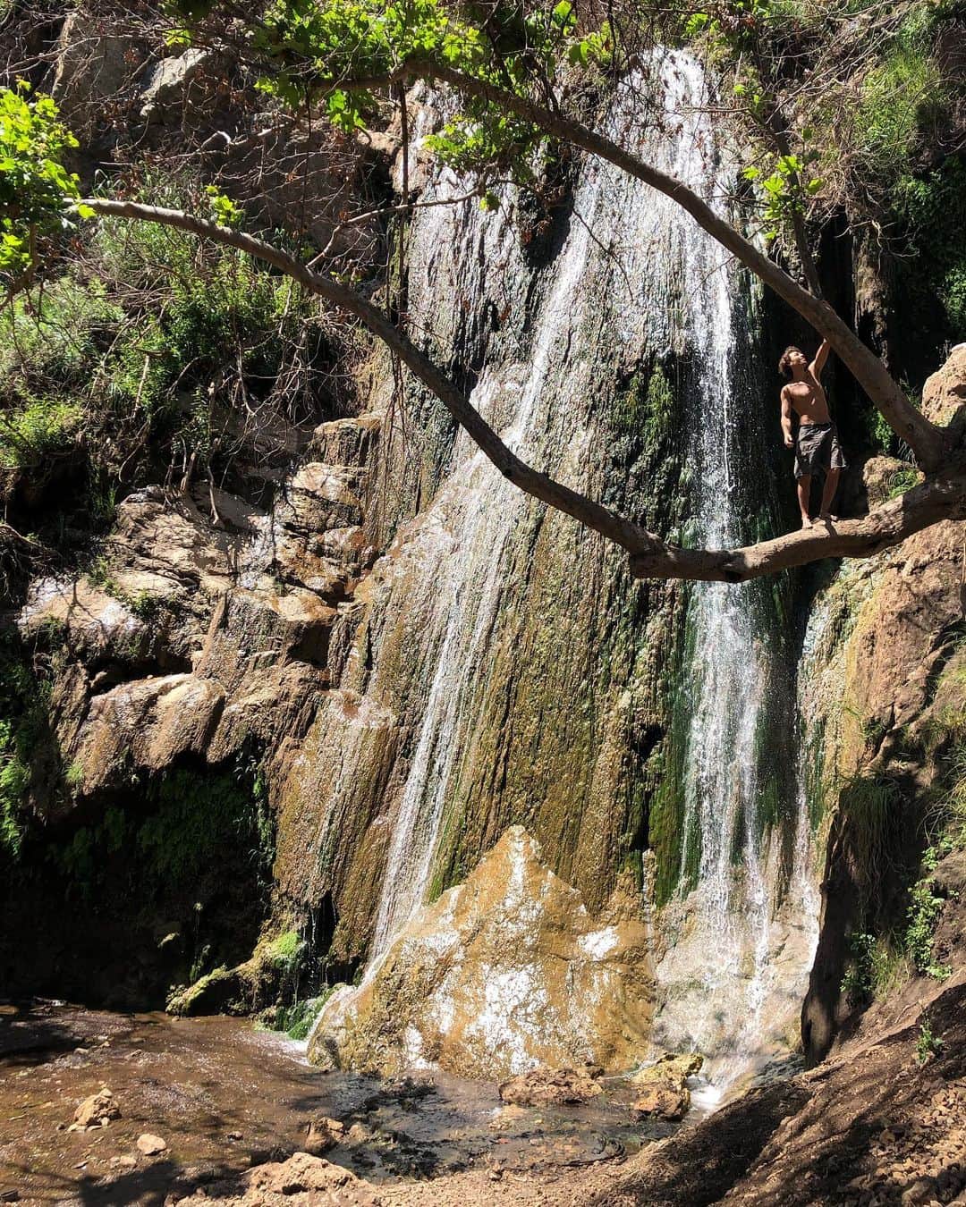 イモージェン・ケアンズさんのインスタグラム写真 - (イモージェン・ケアンズInstagram)「📍#escondidofalls 💚☝🏼🐒 #malibu  #hike #nature #waterfall」5月24日 4時39分 - imogencairns