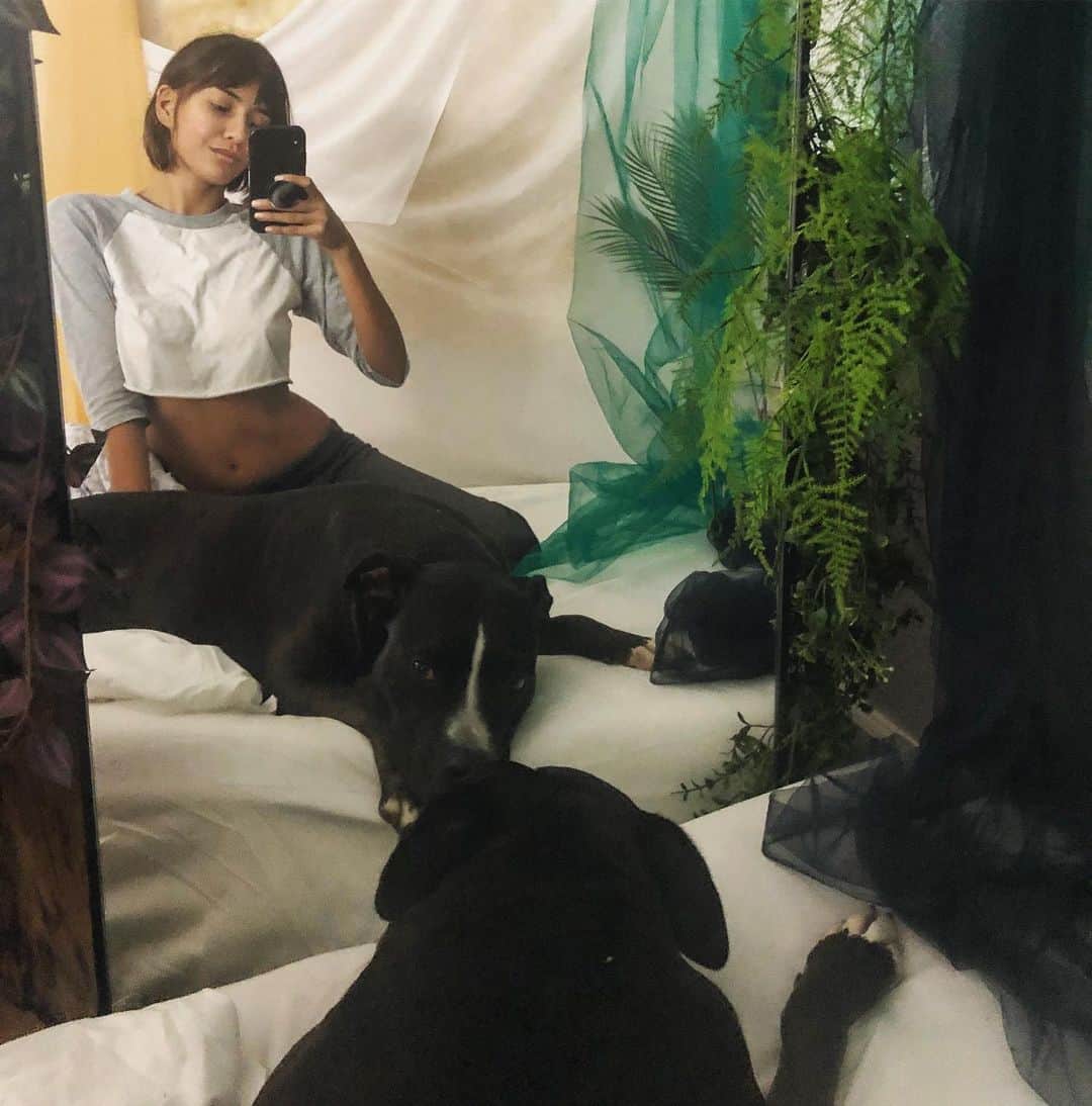 Janice Griffithのインスタグラム：「sorry this is basically the same photo but opal has discovered the mirror」