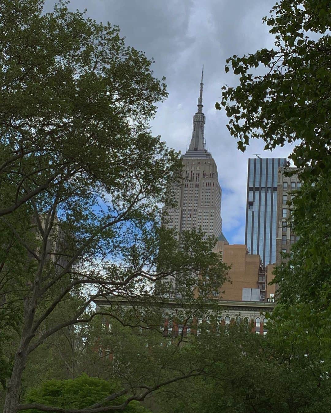薮下柊さんのインスタグラム写真 - (薮下柊Instagram)「Good vibes only! 最近は公園でのんびり過ごすのがほんまに気持ちいい〜 : : #nyc  #ニューヨーク #empirestatebuilding  #maisonkitsune  #snidel」5月24日 11時05分 - __yabushita_shu__