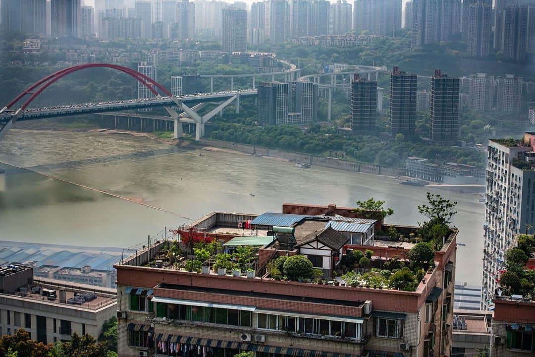 アレックス・メゴスさんのインスタグラム写真 - (アレックス・メゴスInstagram)「Big city life... Chongqing and Shanghai together have far more inhabitants than the whole of Canada.  Buildings as far as you can see.  #stylefirst #carrotsforpower」5月24日 5時50分 - alexandermegos