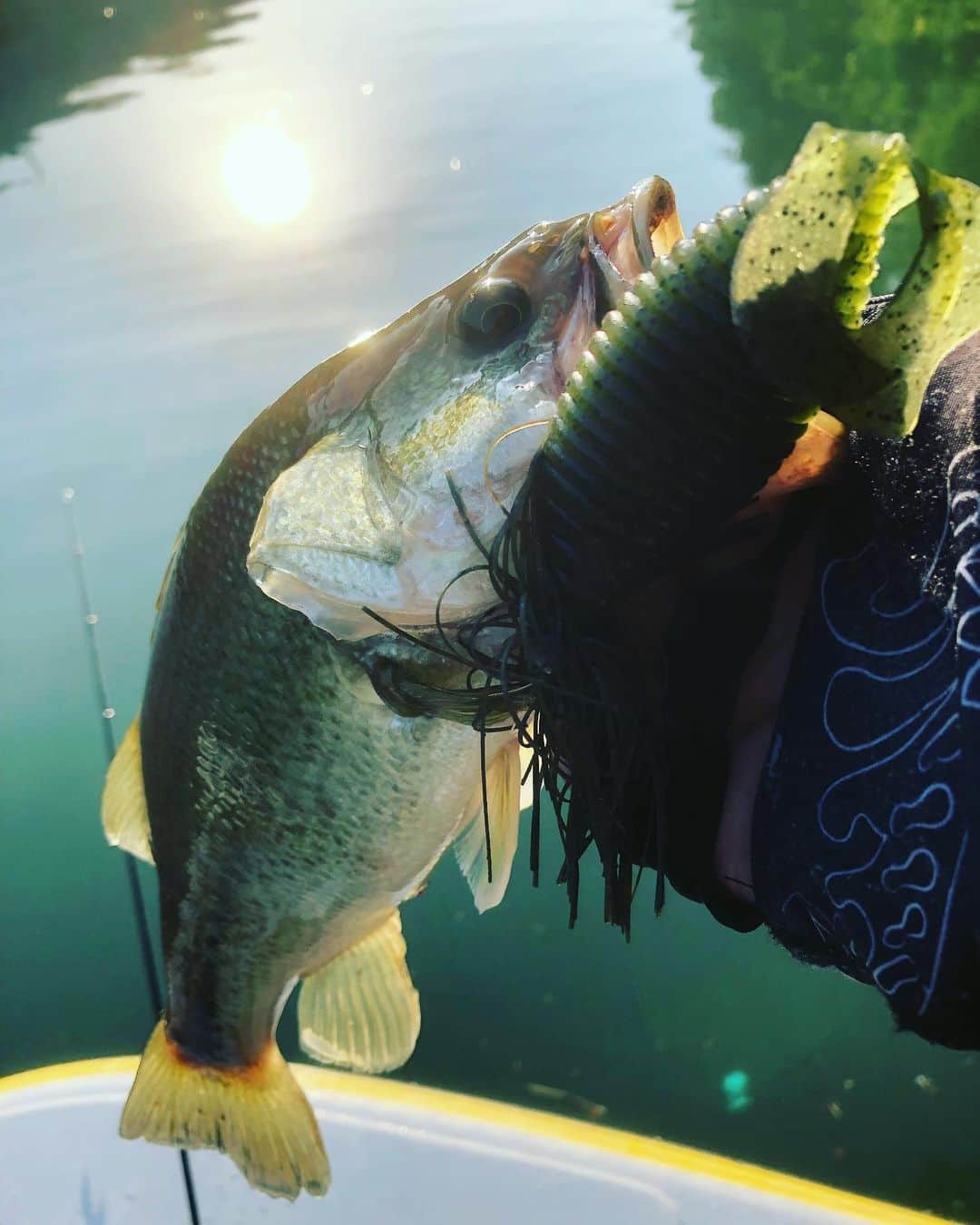 人時のインスタグラム：「おはようございます！ワイドジグありがとうございます♫」
