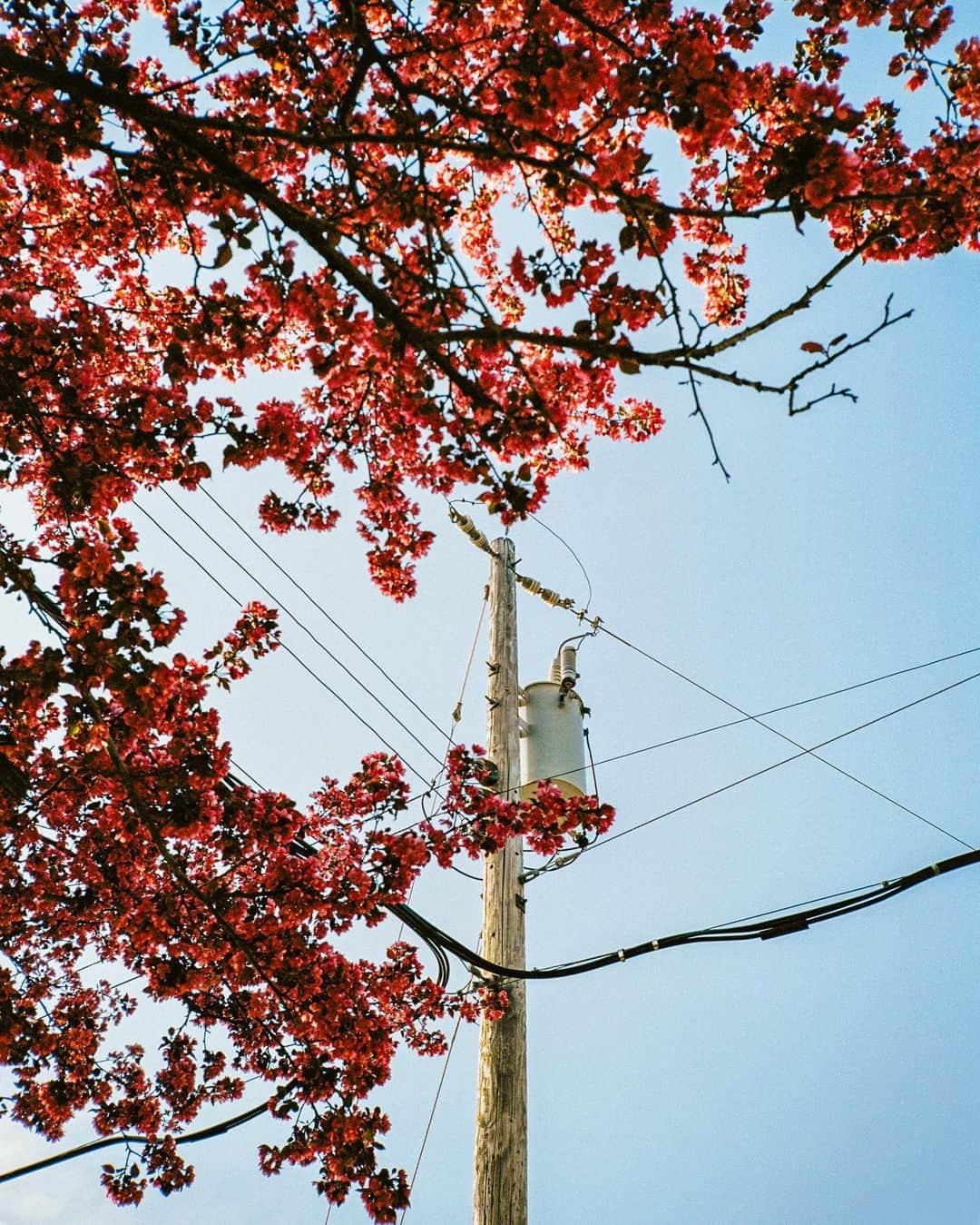 コナー・フランタのインスタグラム：「developed a few rolls of film from my recent travels 💆🏻‍♂️」