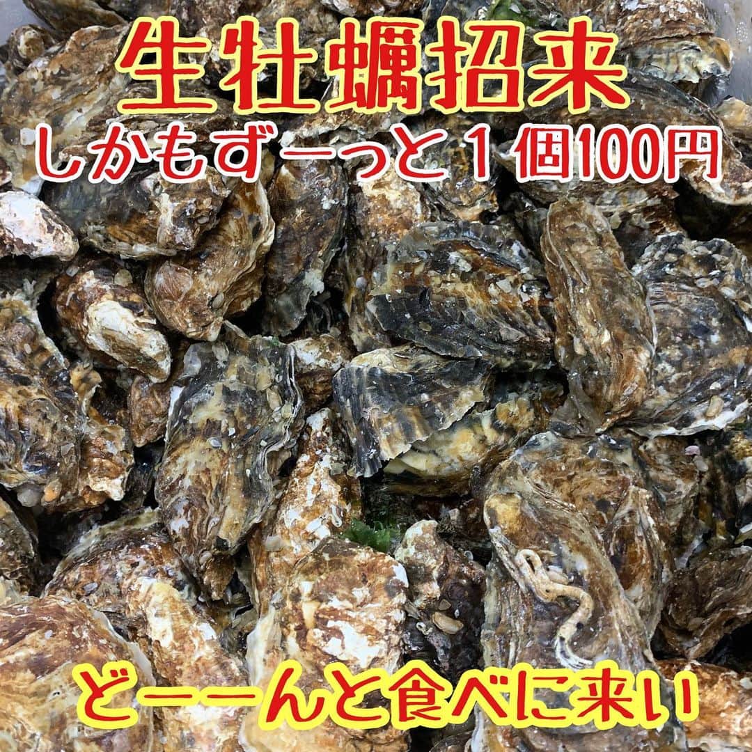 こま源 天王寺店のインスタグラム：「牡蠣入荷！ #こま源 #foodphoto #居酒屋 #北海道 #北口  #海鮮 #天王寺  #ハルカス #駅近 #日本酒 #焼酎 #ビール #飲み放題#個室 #団体 #エンドレス #接待 #合コン #コース #食べ放題 #貝焼き #浜焼き #サプライズ #歓送迎会」