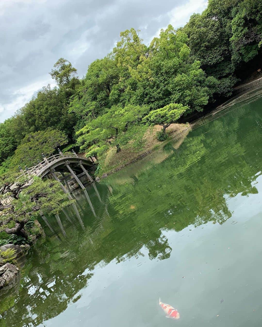 由井香織のインスタグラム：「香川の高松市にある栗林公園。わたしの大好きな庭が充実していて、滝もひっそりとあって、興奮しまくりでした😍😍手打十代うどんバカ一代という人気らしいお店で有名な釜バターうどんを🍽香川でさぬきうどんを食べれたけど、違いがよくわからなかったかな😂 #trip #香川 #高松市 #うどん #栗林公園 #にっぽん丸 #クルーズ旅行 #四国旅行 #観光 #さぬきうどん」