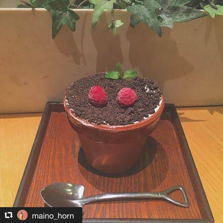 ハレノヒのインスタグラム：「#repost @maino_horn via @PhotoAroundApp  土食べたよ🤭(嘘) ・ #ハレノヒカフェ . @maino_horn様 ご来店ありがとうございます😊お写真も嬉しいです♪ #ハレノヒ#ルミネエスト新宿#新宿#ここでしか食べられない#スイーツ#フラワーポット#ズコット#可愛い#ケーキ#カフェ#インスタ映え#cafe#cute#harenohi#shinjuku#tokyo#lumineest#flowerpot#cake#sweets」