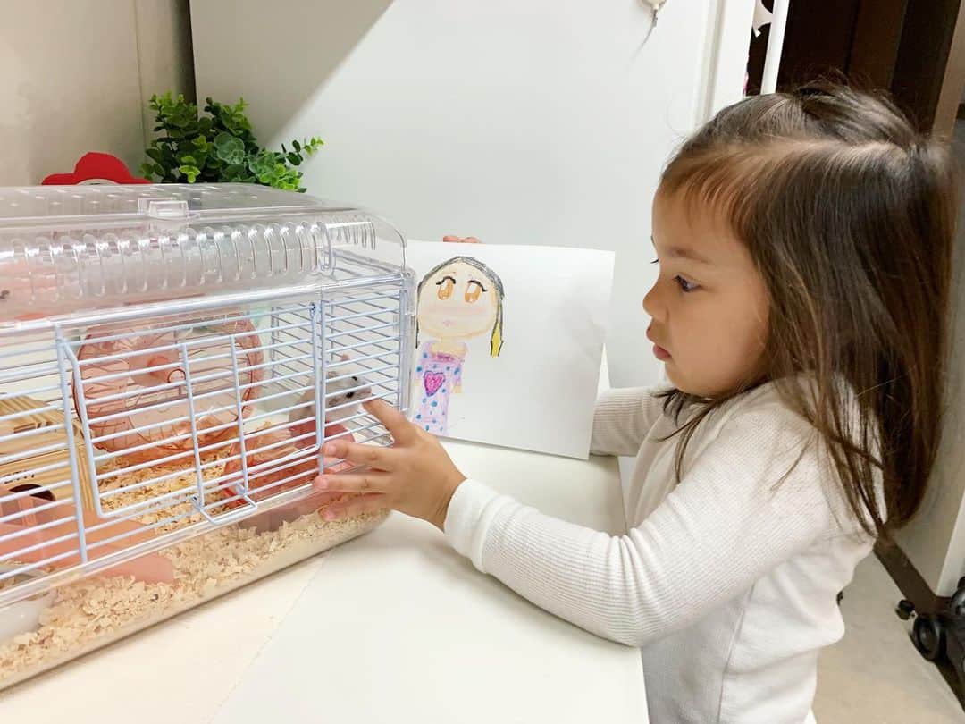 バイリンガル3兄妹のインスタグラム：「おこめちゃんに 必死に絵を見せてる人 ・ ・ 😂😂😂 ・ ・ みなさま Have a wonderful day!!♡ ・ ・ #ハムスターのいる生活  #はなち #4歳 #年中さん #バイリンガル3兄妹」