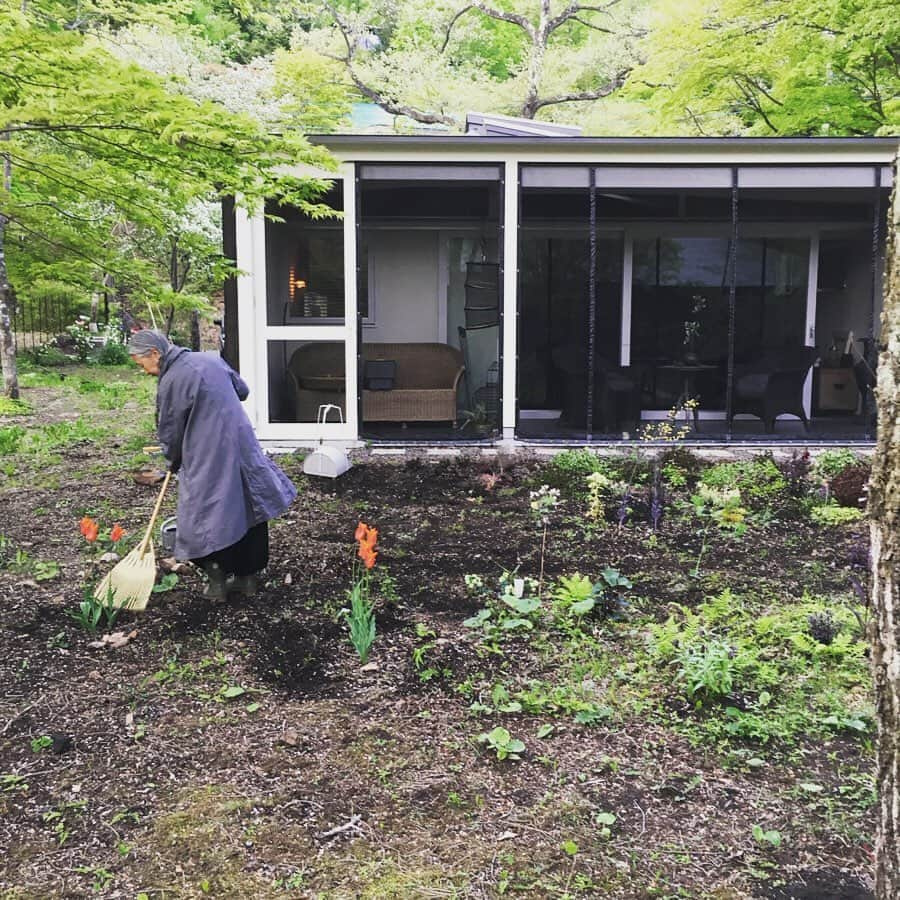 今村沙緒里さんのインスタグラム写真 - (今村沙緒里Instagram)「植えるとき🌱 元気に育ってくれるよう エネルギーを送ります！ ・ 植物係も3シーズン目で ユリちゃんとわたし 選ぶのも植えるのも早くなりました☺︎ 今回は80個くらいかな。 成長が楽しみ🌱🍀🌿 ・ When planting plants, I hope they grow up well💚 It's magic🦔 ・ #nature #plants #gardening #flowers #beautiful #love #photo #life #자연 #꽃 #사랑해 #사진 #植物 #花 #自然 #野花 #庭 #ガーデンデザイン #植物係 #元気に育ちますように」5月24日 18時55分 - saorix13