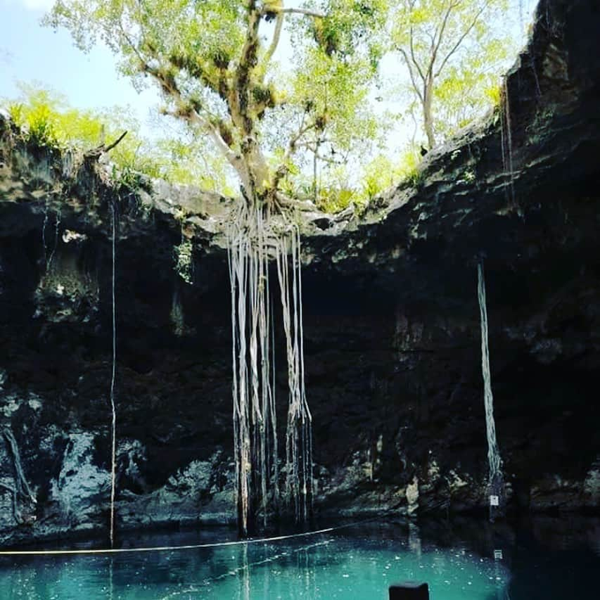 荒波翔さんのインスタグラム写真 - (荒波翔Instagram)「Méridaで有名なセノーテに行ってきました🏊‍♂️ すごく神秘的な所で自然のPowerをもらいました‼️ . #todossomossultanes #mexico #merida #セノーテ #パワースポット #自然 #不思議」5月24日 19時22分 - shoshoshonosho.4